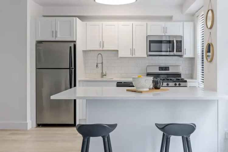 Rent Downtown Stamford Apartments with Diverse Amenities