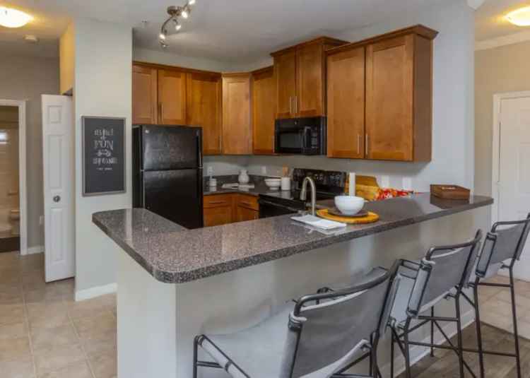 Apartments for Rent at TGM University Park in Sarasota with Luxurious Amenities