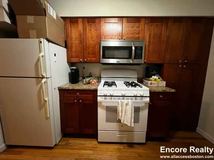 Rent 1 Bedroom Apartment near Boston College with Modern Features