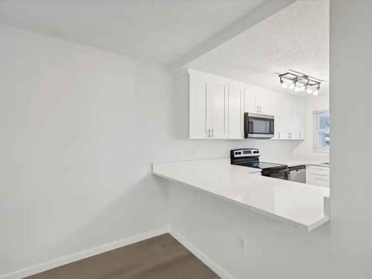 Rent 2 Bedroom Condo in Clearwater with Modern Comforts and Great Amenities