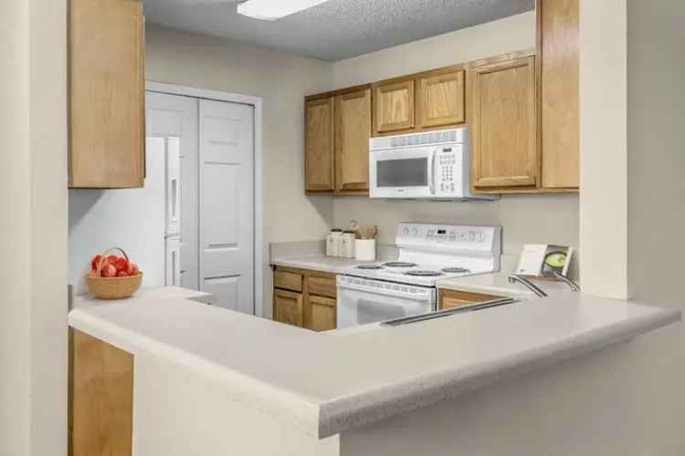 Rent Apartments in South Charlotte with Modern Amenities and Tour Options