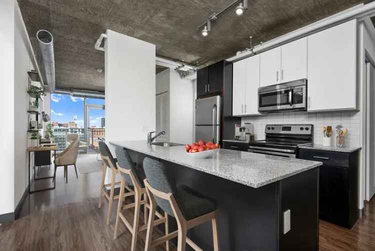 Rent Urban Sleek Apartments in Downtown Chicago with Unique Features