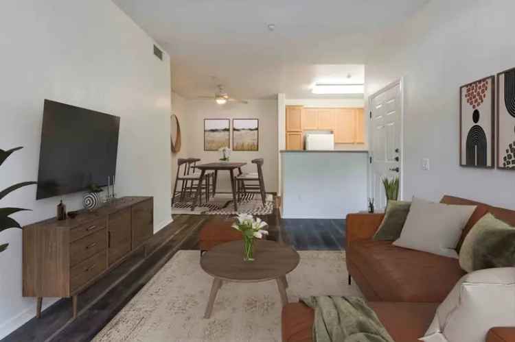 Rent Beautiful Apartments in Goleta with Modern Interiors and Amenities