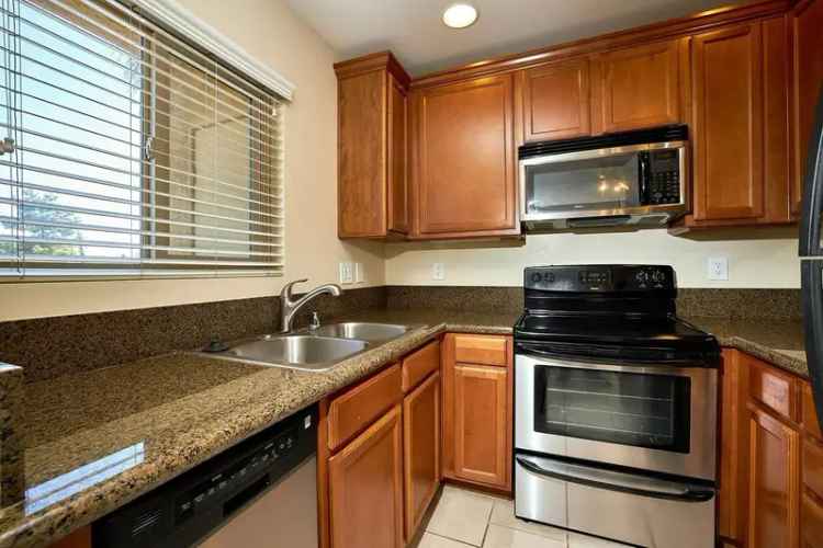 Rent Spacious Apartments in Mt Abernathy with Modern Features