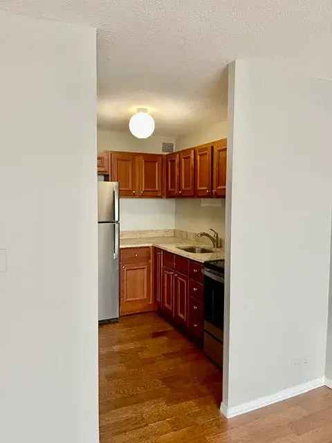 Rent Corner Apartment Unit with City Views in Lincoln Park