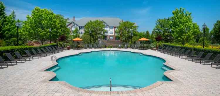 Luxury Apartments for Rent in Charlotte NC with Excellent Amenities