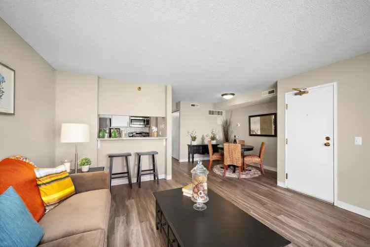 Rent Apartments in Southwind Village with Modern Amenities