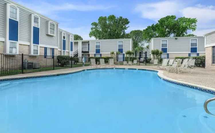 Rent Apartments in Houston with Pool, Clubhouse, and Pet-Friendly Grounds