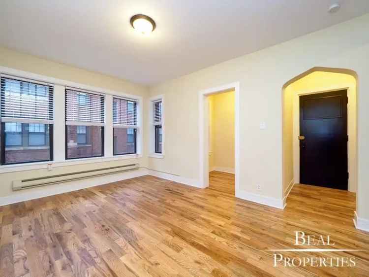 Rent Studio Apartment Near Montrose Brown Line Pet Friendly