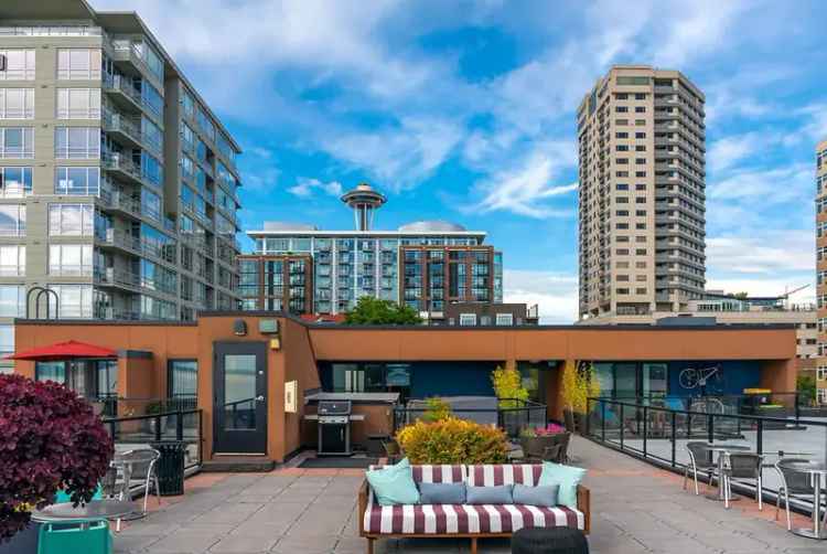 Rent Apartments in Seattle with Stunning Views and Modern Amenities