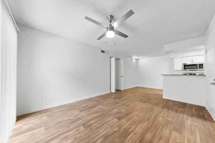 Rent Verve Apartments in Glendale with Modern Features and Amenities