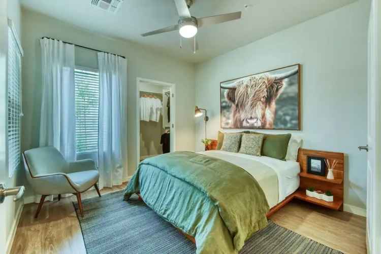 Rent Boutique Luxury Apartments in Goodyear with Modern Features