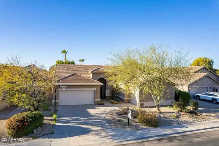 Buy Charming Single Level Home in Augusta Ranch with Backyard Oasis