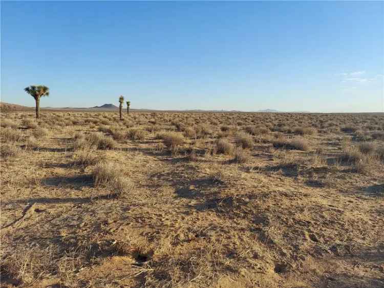 Land For Sale in Boron, California