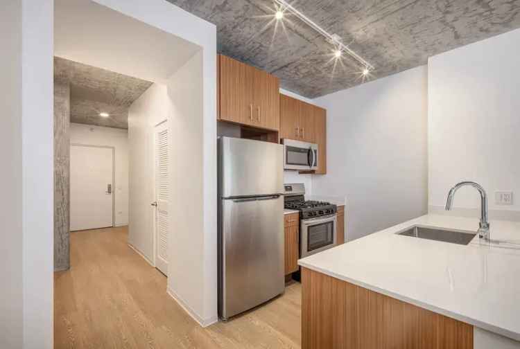 Rent Apartments in Chicago South Loop with Urban Living Features