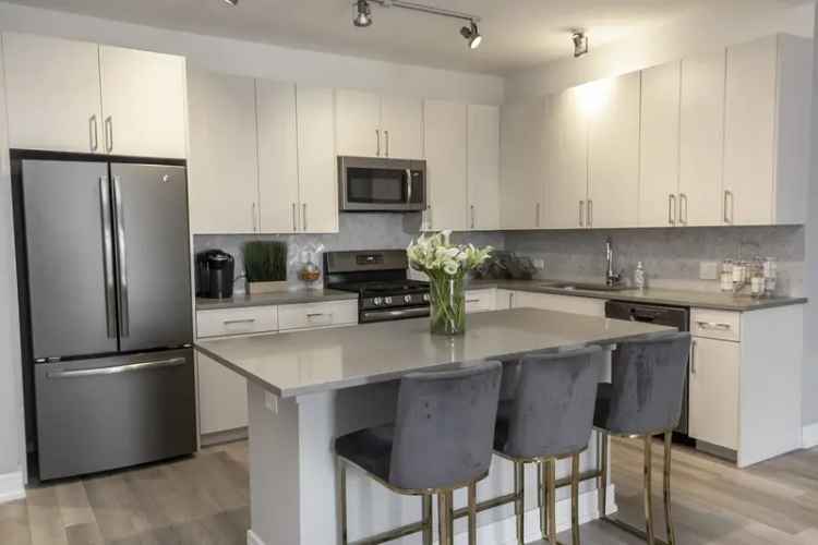 Rent Apartments in Wicker Park with Pet-Friendly Amenities