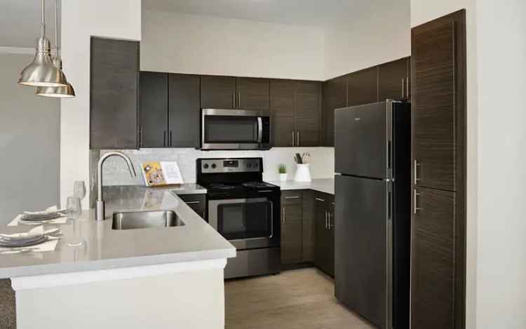 Rent Apartments in Cherry Creek with Luxury Amenities and Pet Friendly