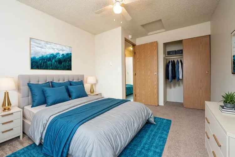 Rent Apartments in Tacoma Comfortable Living with Modern Amenities