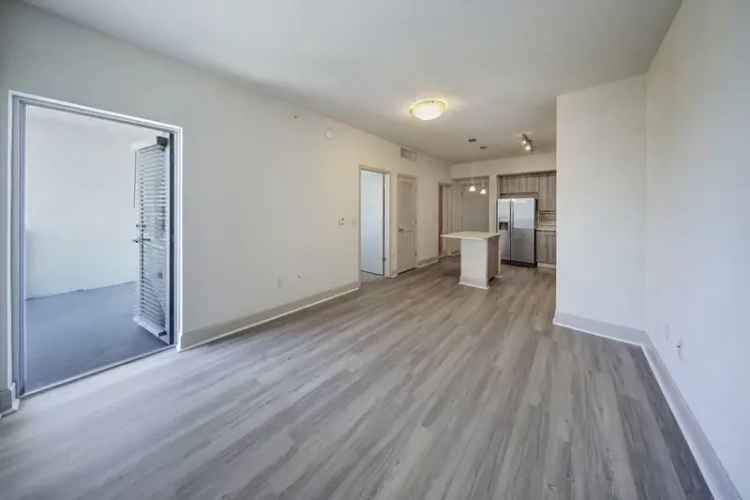 Apartments for Rent in South Florida with High-End Finishes and Amenities