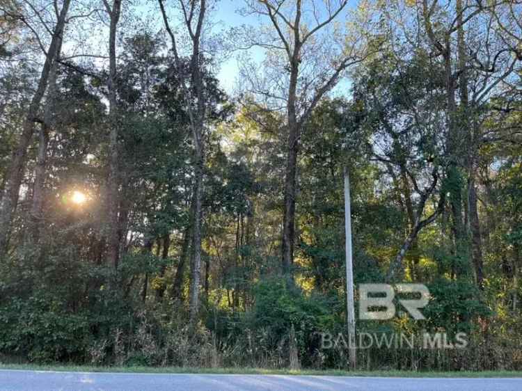 Land For Sale in Loxley, Alabama