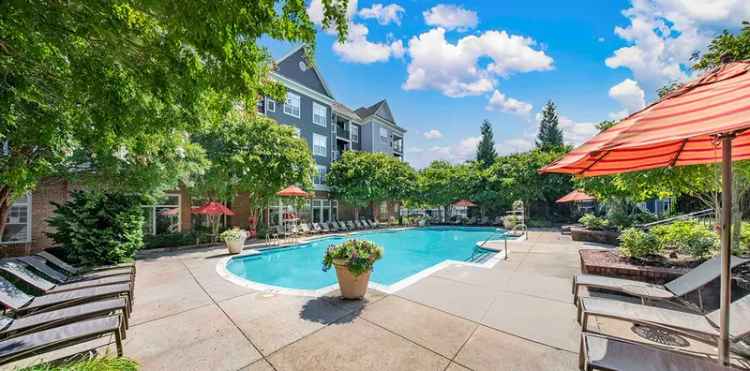 Rent Apartments in Rockville MD with Designer Kitchens and Pool