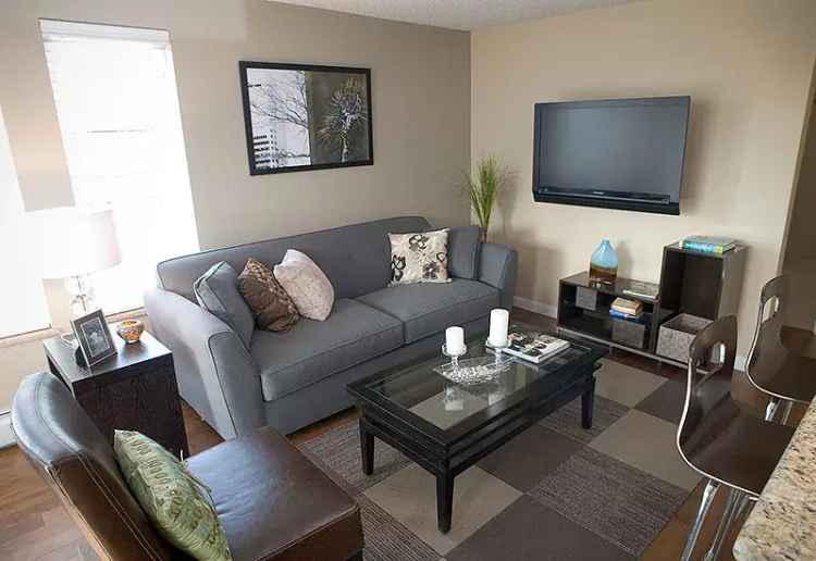 Apartment Rent in Denver with Luxury Amenities and Pet-Friendly Features