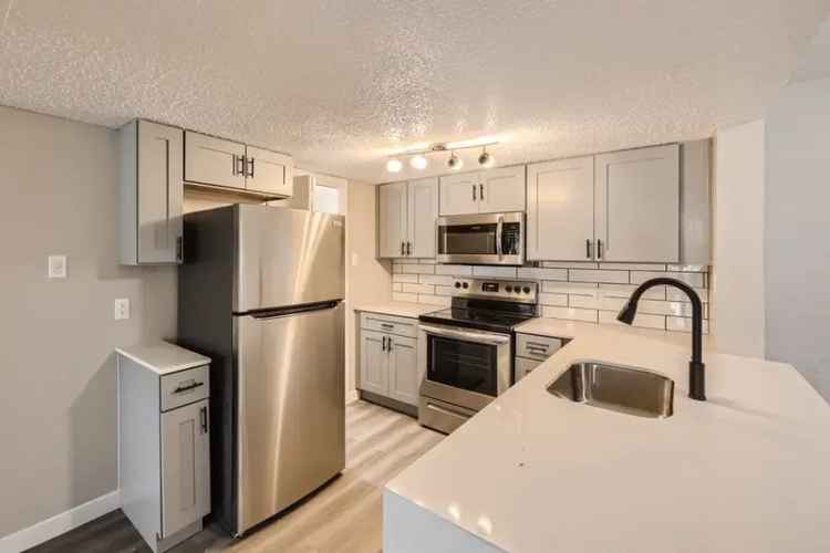 Rent Elegant Apartments in Arlington with Premium Features