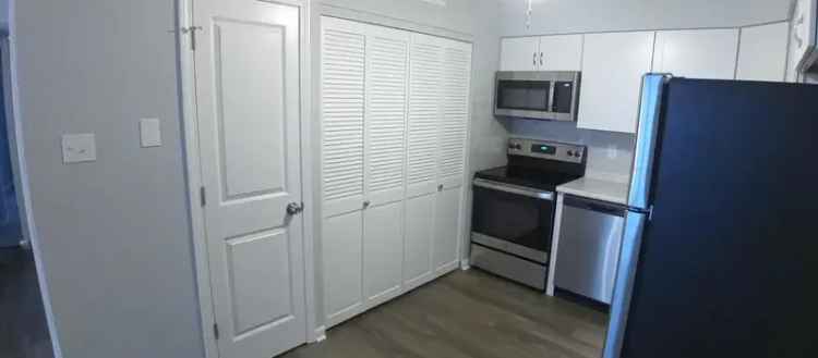 Rent Beautiful 2 Bedroom Apartment in South County with Modern Features