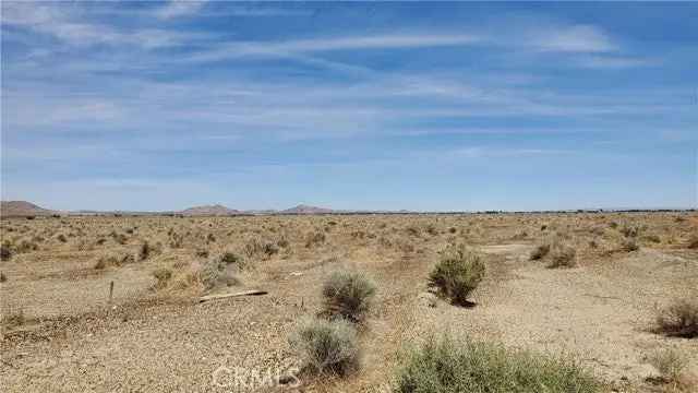 Land For Sale in Rosamond, California