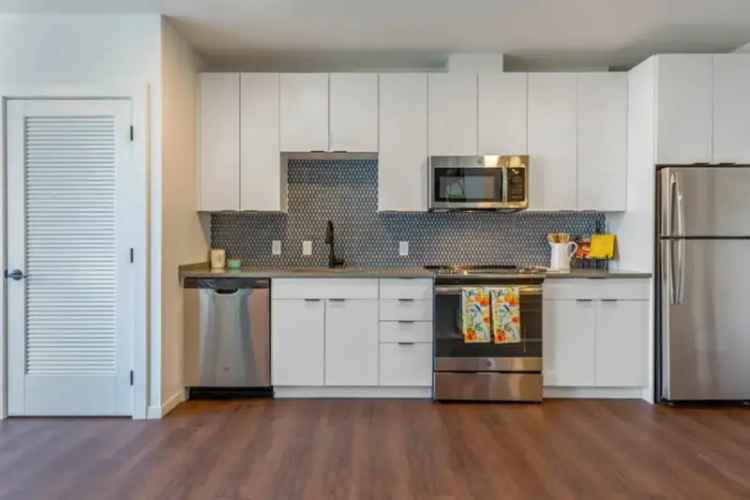 Apartment for Rent Premium Remodeled Unit Near Downtown with Appliances