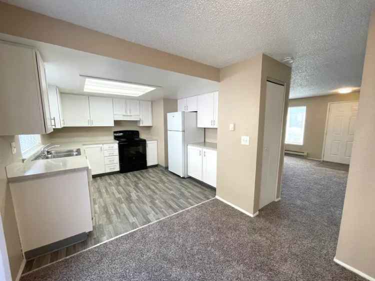 Rent 2 Bedroom Apartment with Modern Amenities Near You