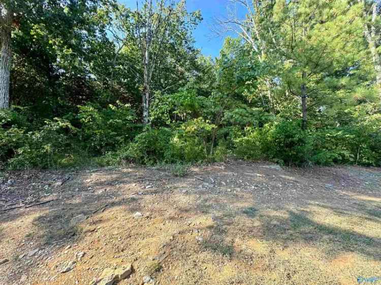 Build Your Dream Home on a Serene Half Acre Lot in Hillhurst Subdivision