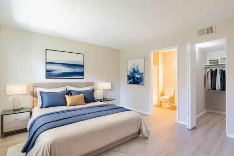 Rent Modern Apartments in Oceanside with Ocean Views and Great Amenities