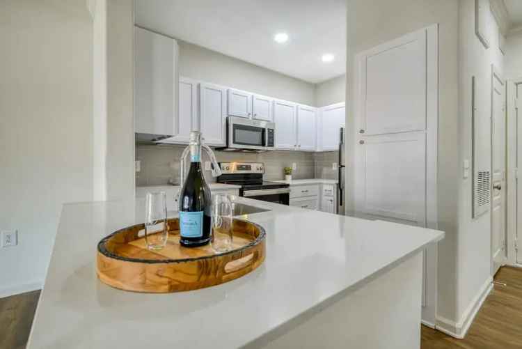 Rent Luxury Apartments in Mustang Park Carrollton with Modern Features