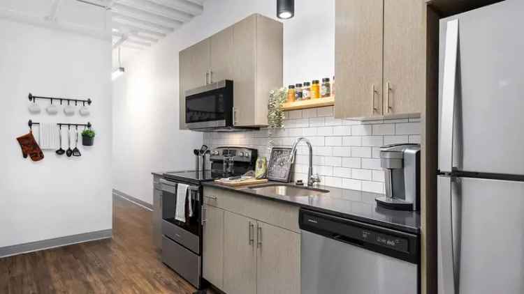 Rent Apartments with Pet Friendly Features in Wrigleyville