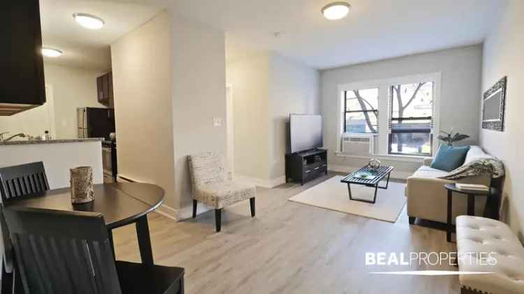 Rent 1 Bedroom Apartment in Chicago Lakeview with Modern Amenities