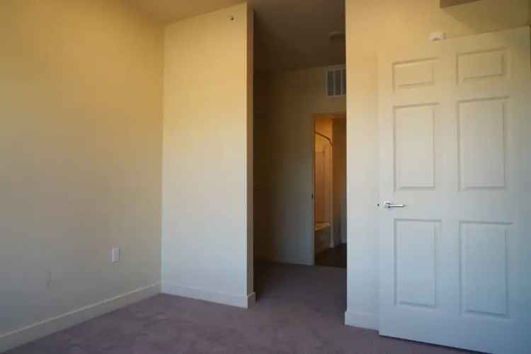 Rent Apartments in Colorado Springs with Amenities for Families