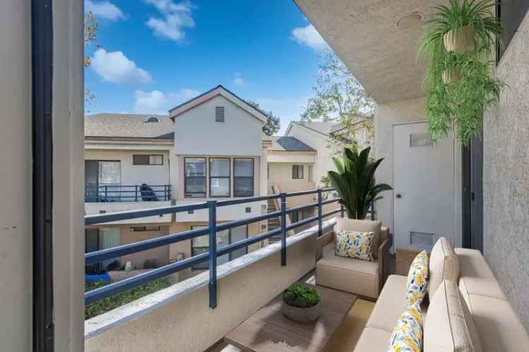 Rent Apartments in Ventura with Pet-Friendly Amenities