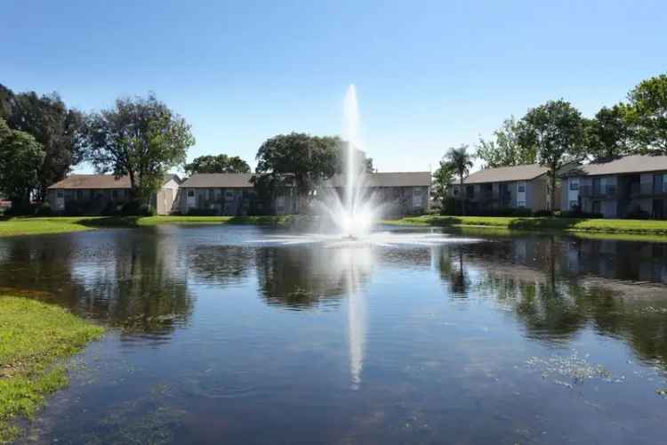 Rent Apartments in Clearwater with Modern Amenities and Scenic Views