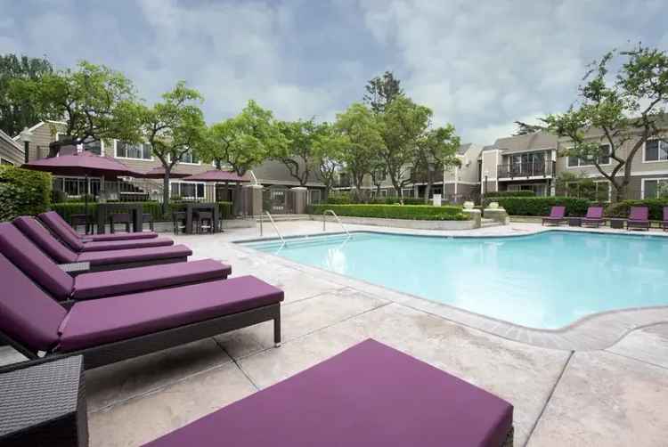 Rent Garden-Style Apartments in Santa Clara with Modern Amenities