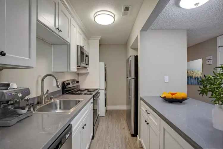 Rent Apartments in Sacramento with Modern Amenities and Pet-Friendly Options