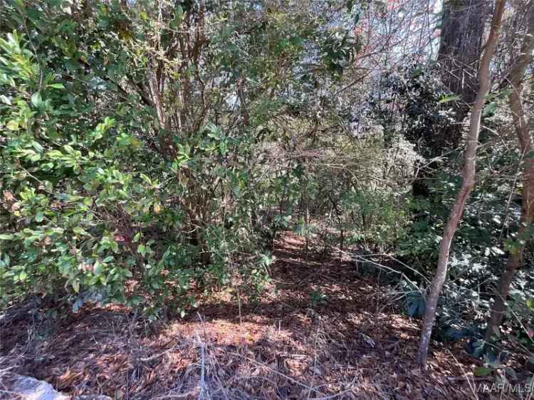 Build Your Dream Home on Wooded One Acre Lot in Enterprise