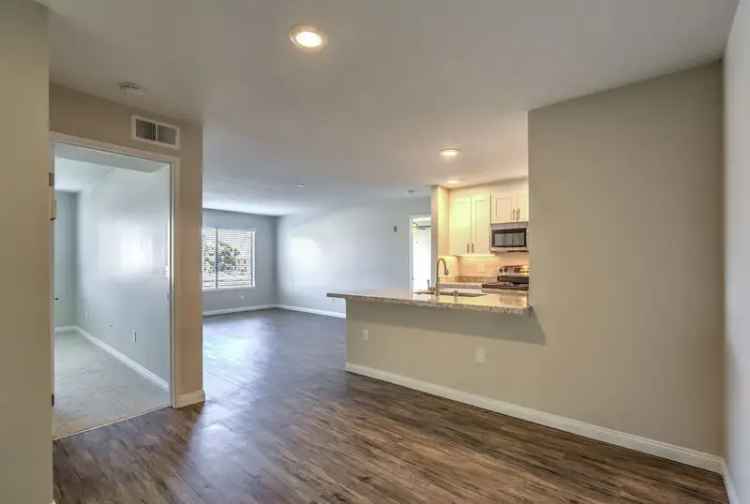 Rent Apartments in San Diego with Great Amenities and Location