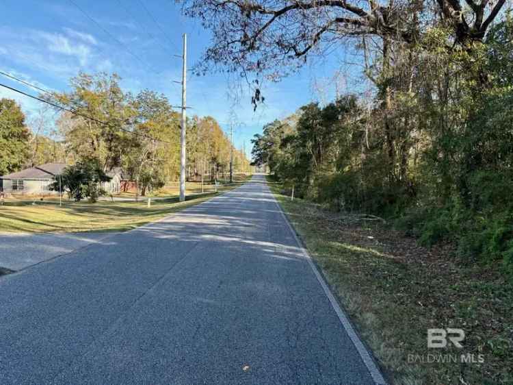 Buy Naturally Wooded Land in Brady Road with 396 Feet of Frontage