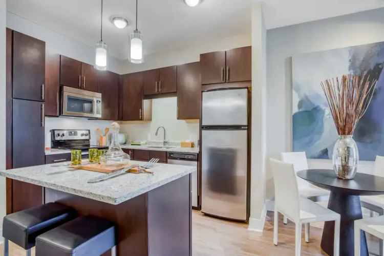 Rent Spacious Luxury Apartments in Cambridge MA with Gourmet Kitchens