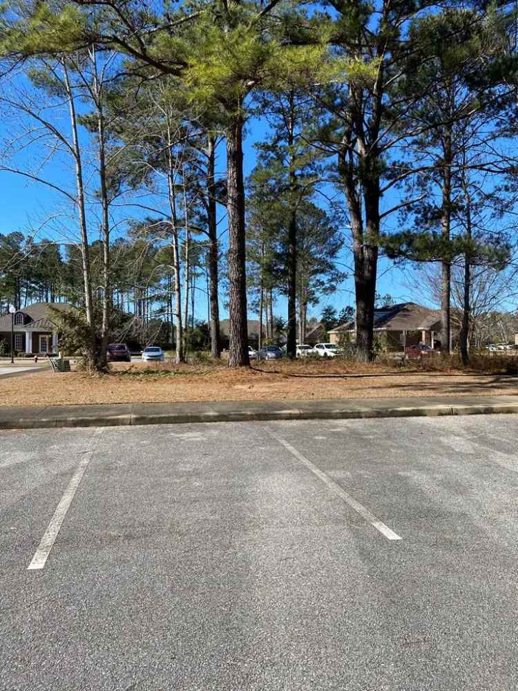 Buy Commercial Land in Grove Park with Maximum Building Size