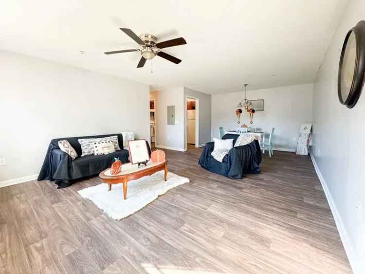 Rent Affordable Apartments in Columbia SC with Playground and Laundry