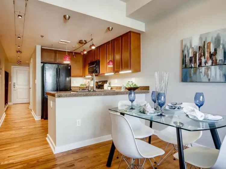 Rent Apartment Unit in Denver with Spacious Layout and Gourmet Kitchen