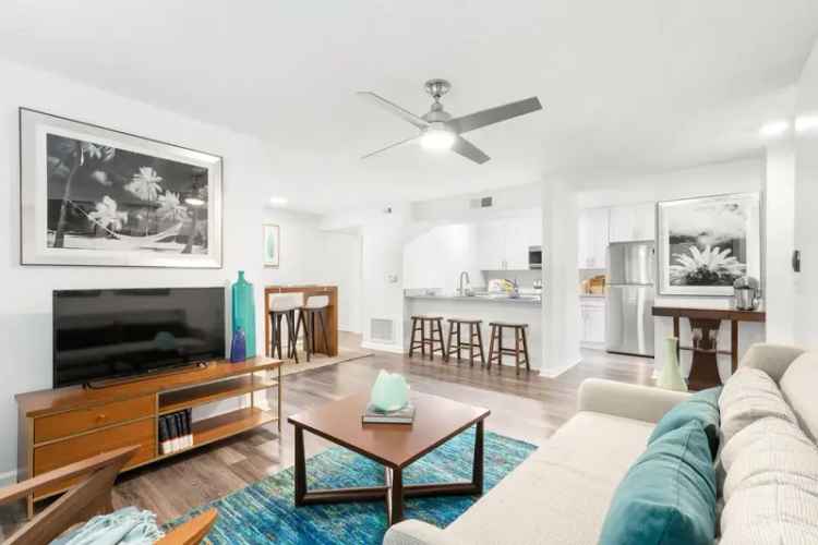 rent apartments avana city park clearwater key west style