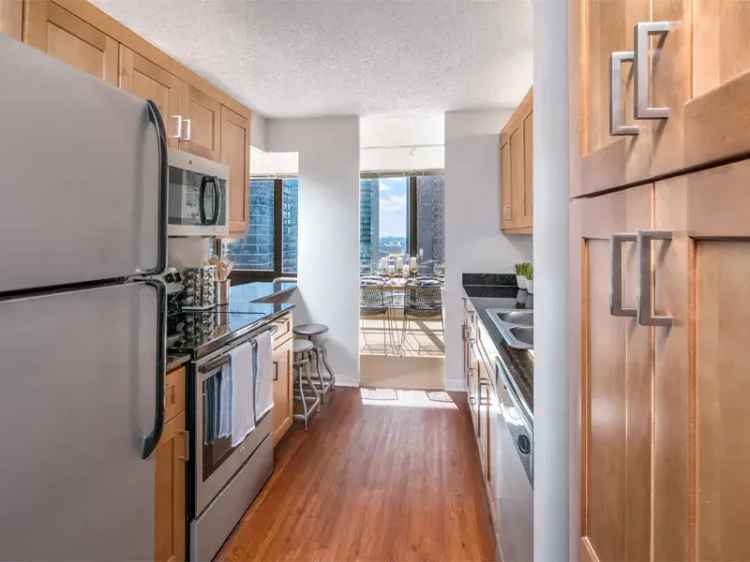 Rent Apartment with Skyline View in Chicago